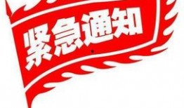 周五爆料预告最新,揭秘行业新动态，敬请期待！